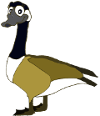 _images/goose.png